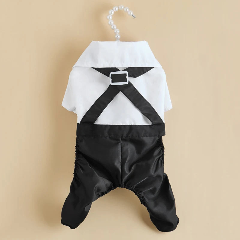 SUIT for Small Dogs/CAT
