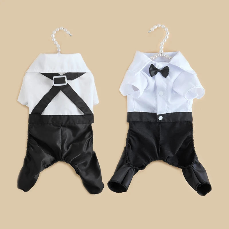 SUIT for Small Dogs/CAT