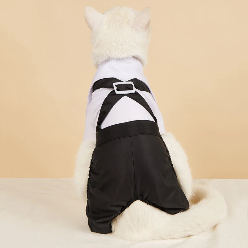 SUIT for Small Dogs/CAT