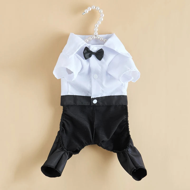 SUIT for Small Dogs/CAT