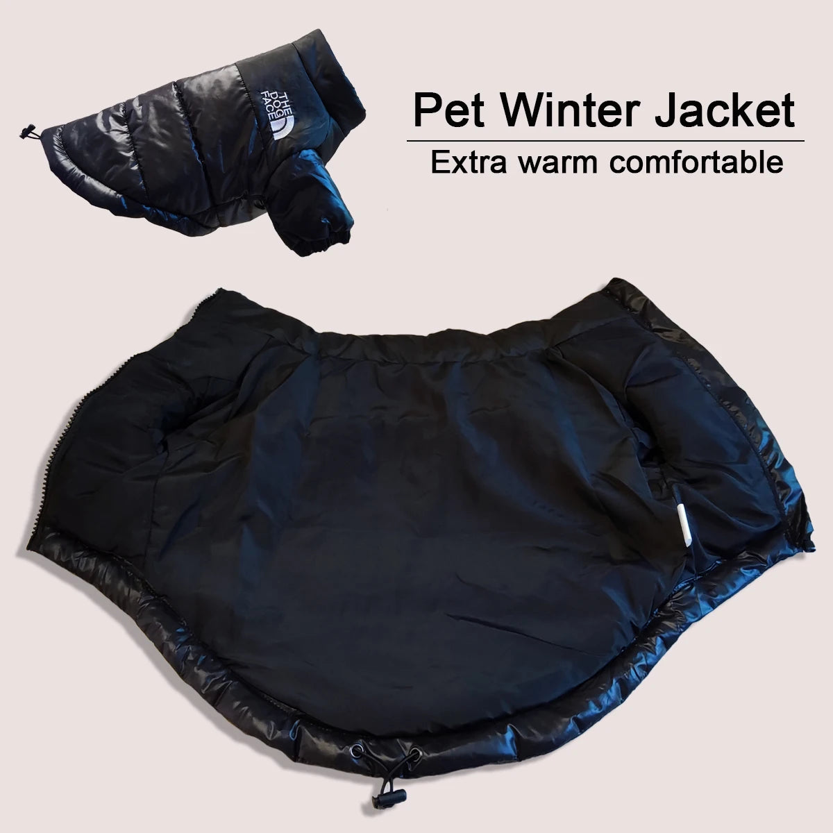 Winter Dog Clothes