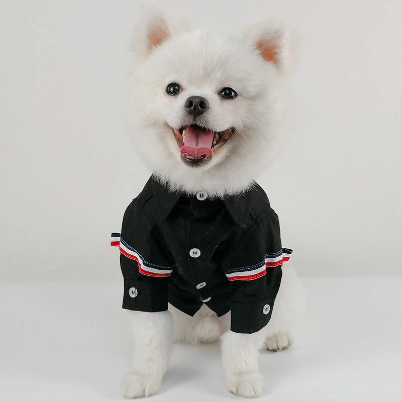 Spring Autumn Summer Pet Outfits