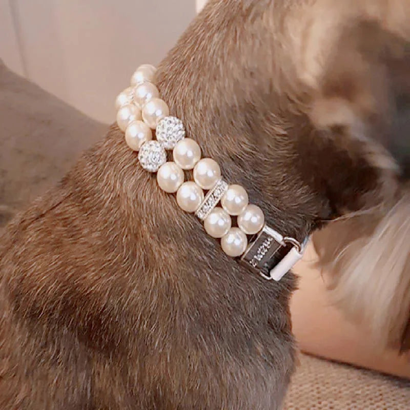 Cat / Dog Collar and Leash Set Pet