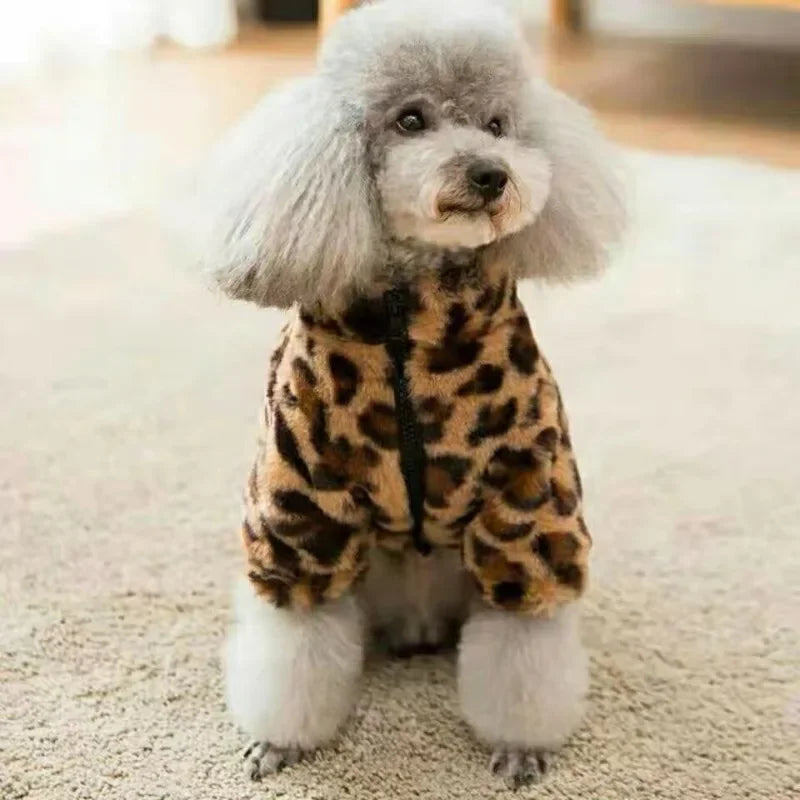 Dogs Coat Leopard