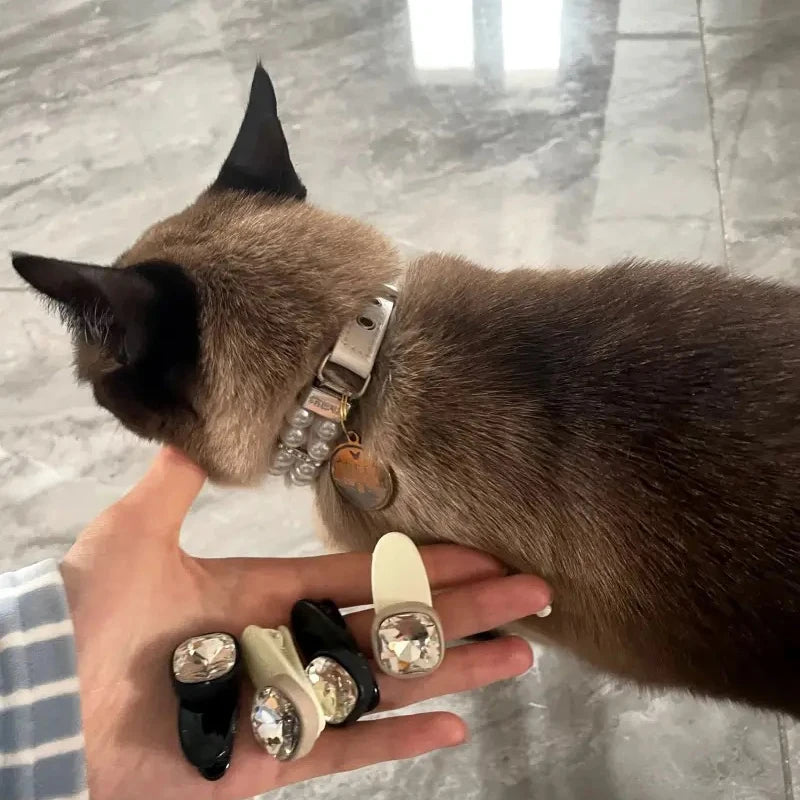 Cat / Dog Collar and Leash Set Pet