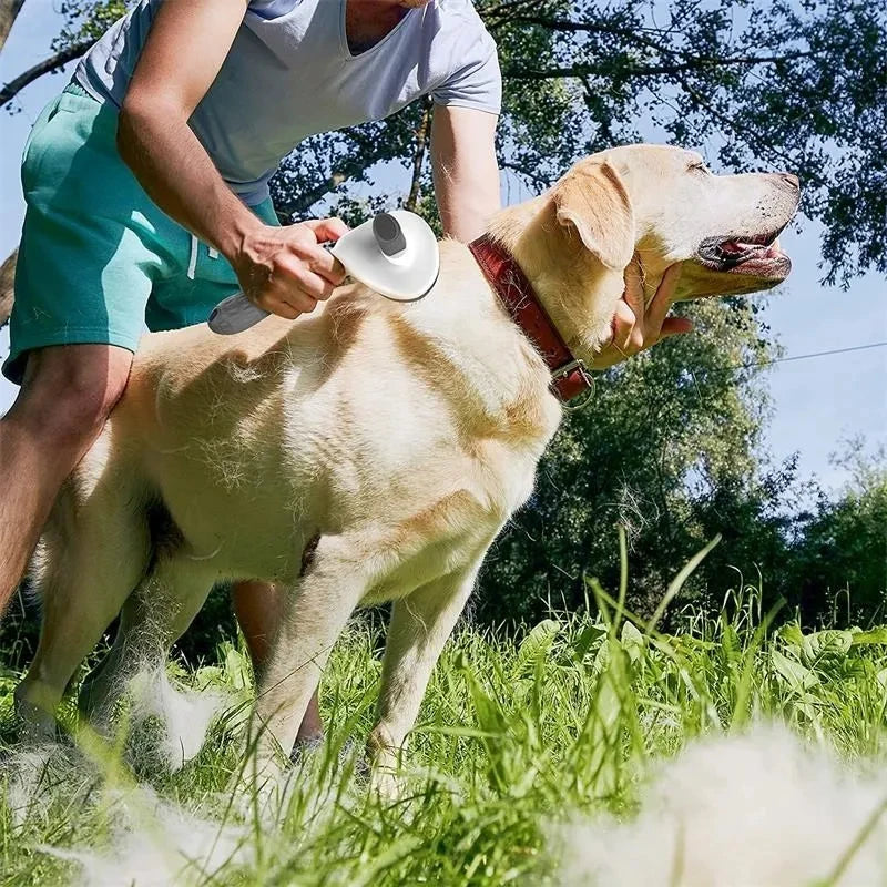 Dog Brush