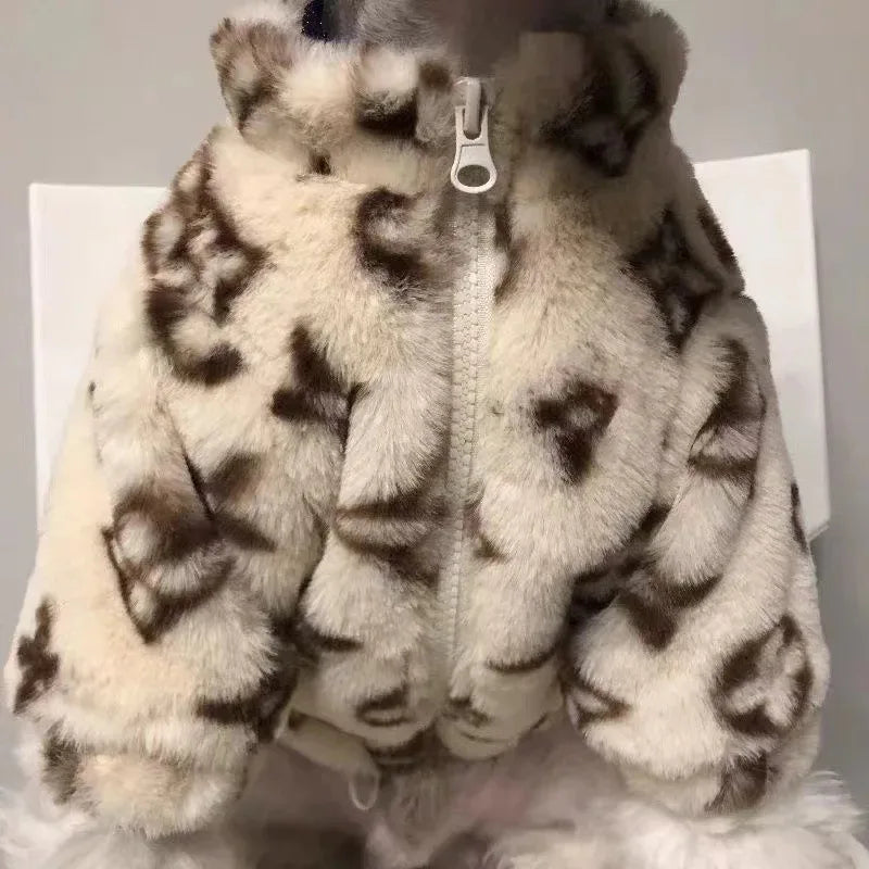 Dogs Coat Leopard