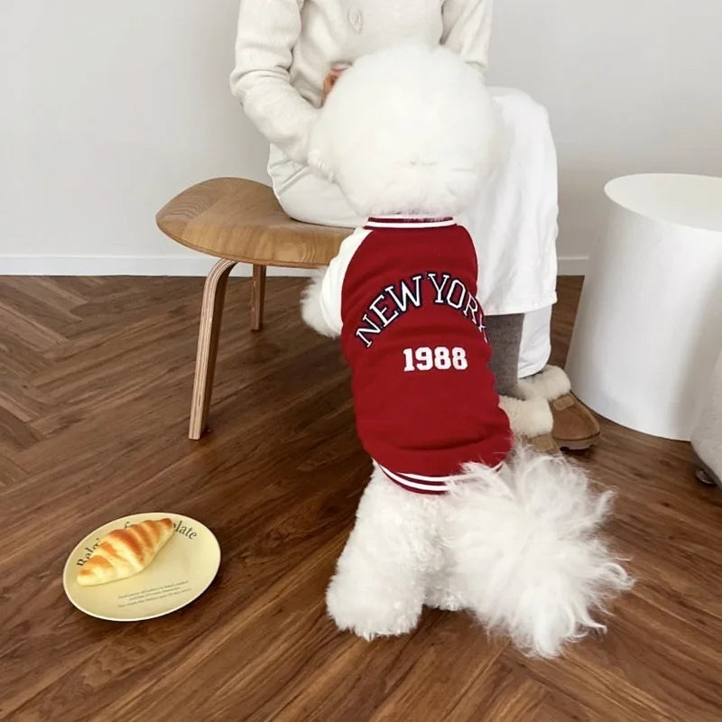 Fashion Winter Pet Baseball