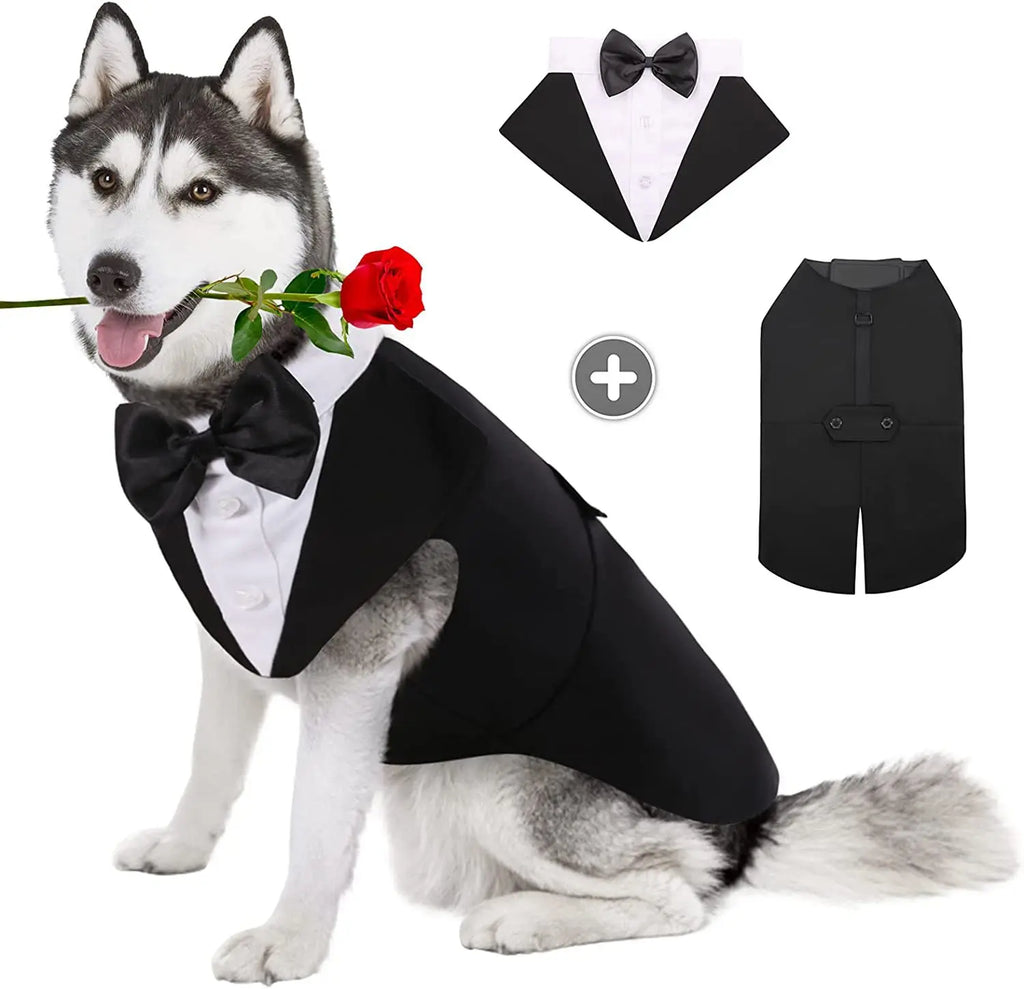 Formal Suit Tie Bow Shirt