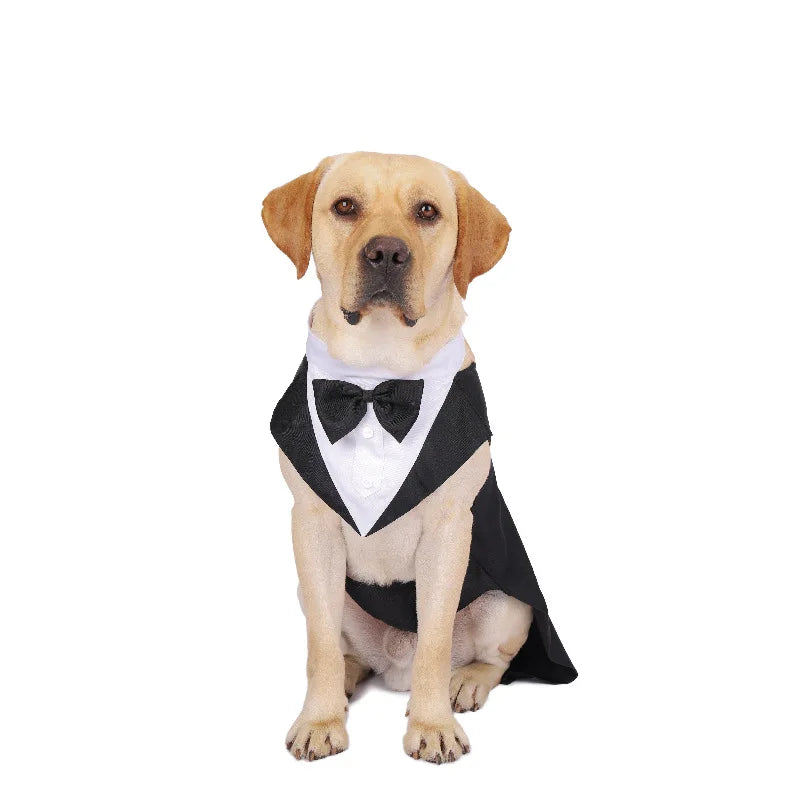 Formal Suit Tie Bow Shirt