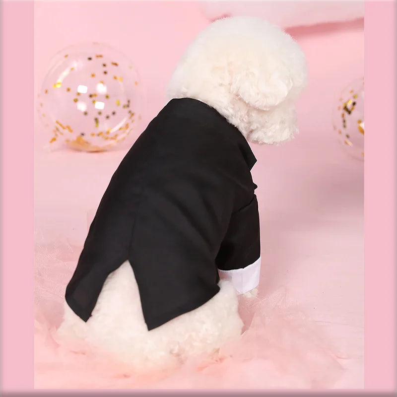 Formal Shirt for Small Dogs