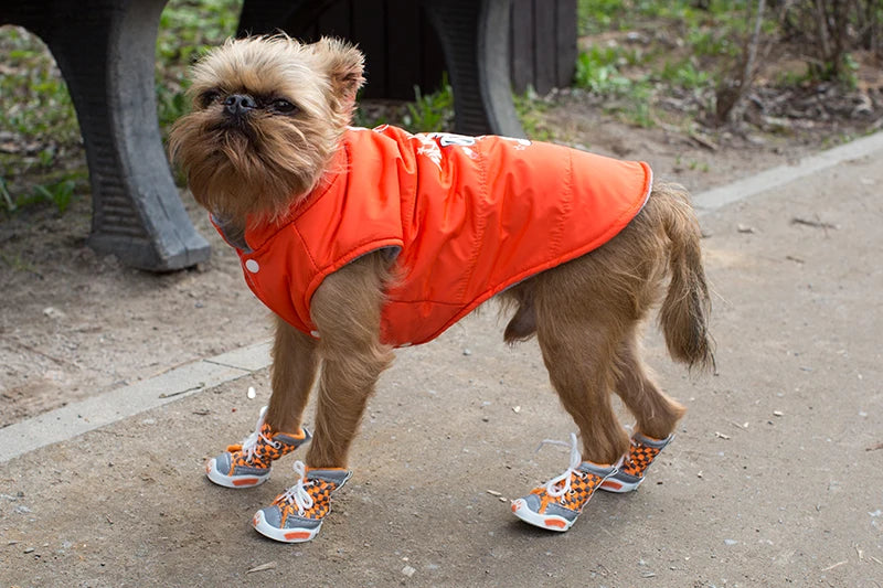 set Pet Dog Shoes