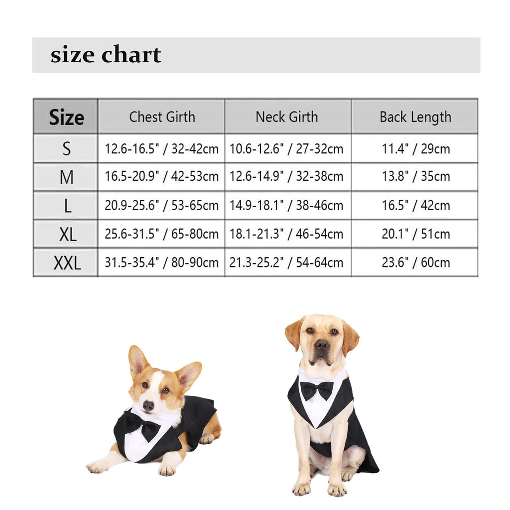 Formal Suit Tie Bow Shirt