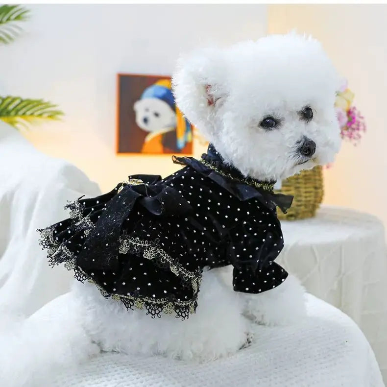 Dog Dress - Velvet Black Gold Fashion Clothing