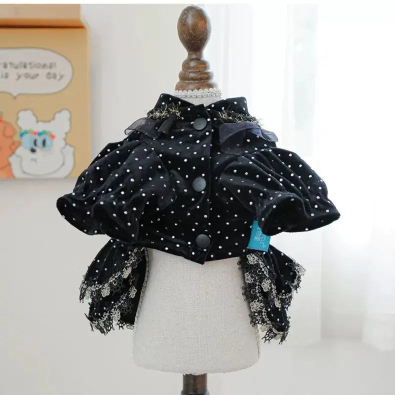 Dog Dress - Velvet Black Gold Fashion Clothing