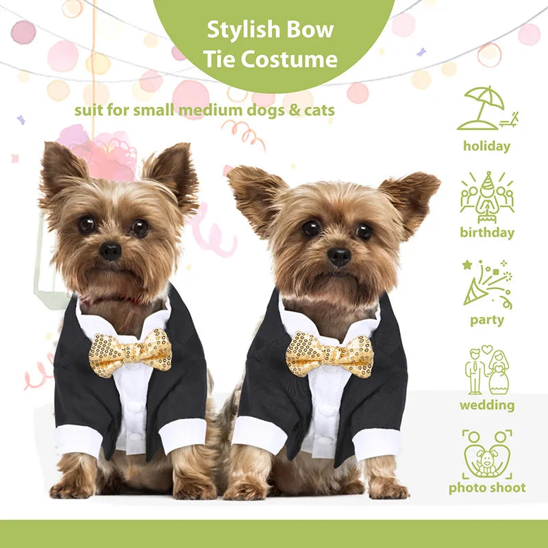 Formal Shirt for Small Dogs