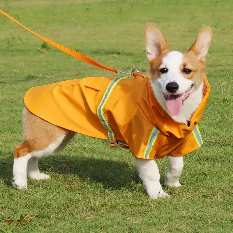 Large Dog Raincoat