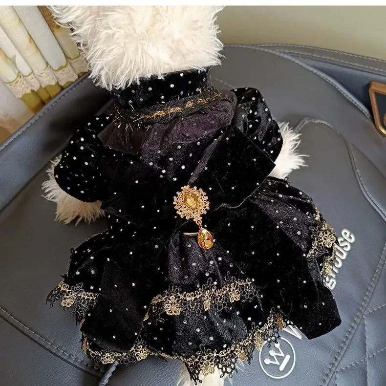 Dog Dress - Velvet Black Gold Fashion Clothing