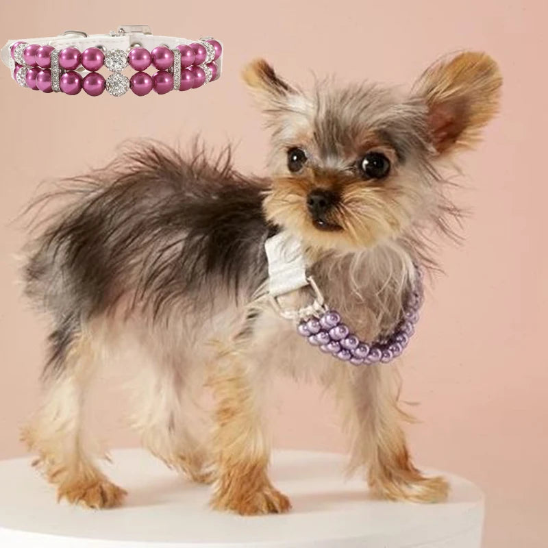 Cat / Dog Collar and Leash Set Pet
