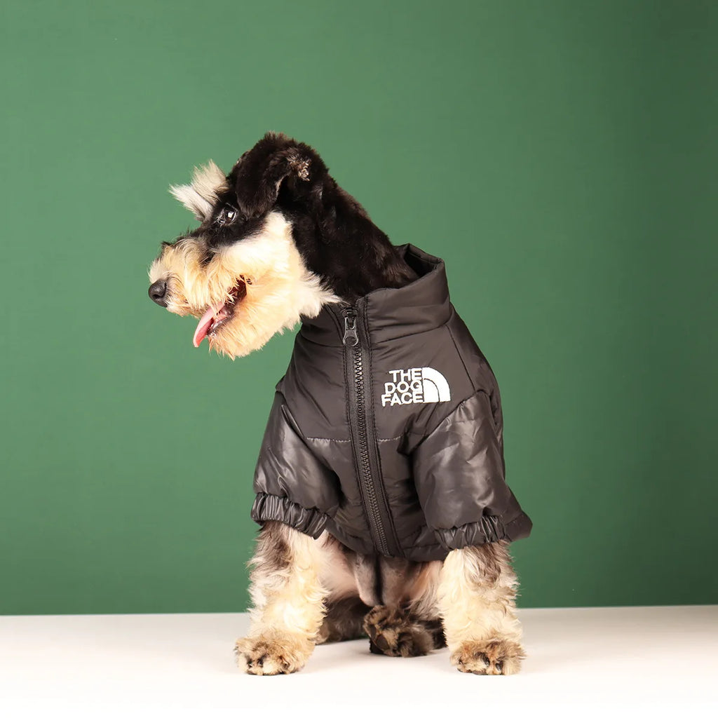 Winter Dog Clothes