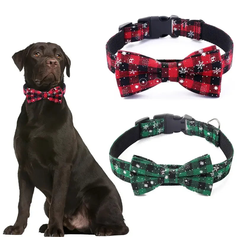 Dog Collar with Bow tie