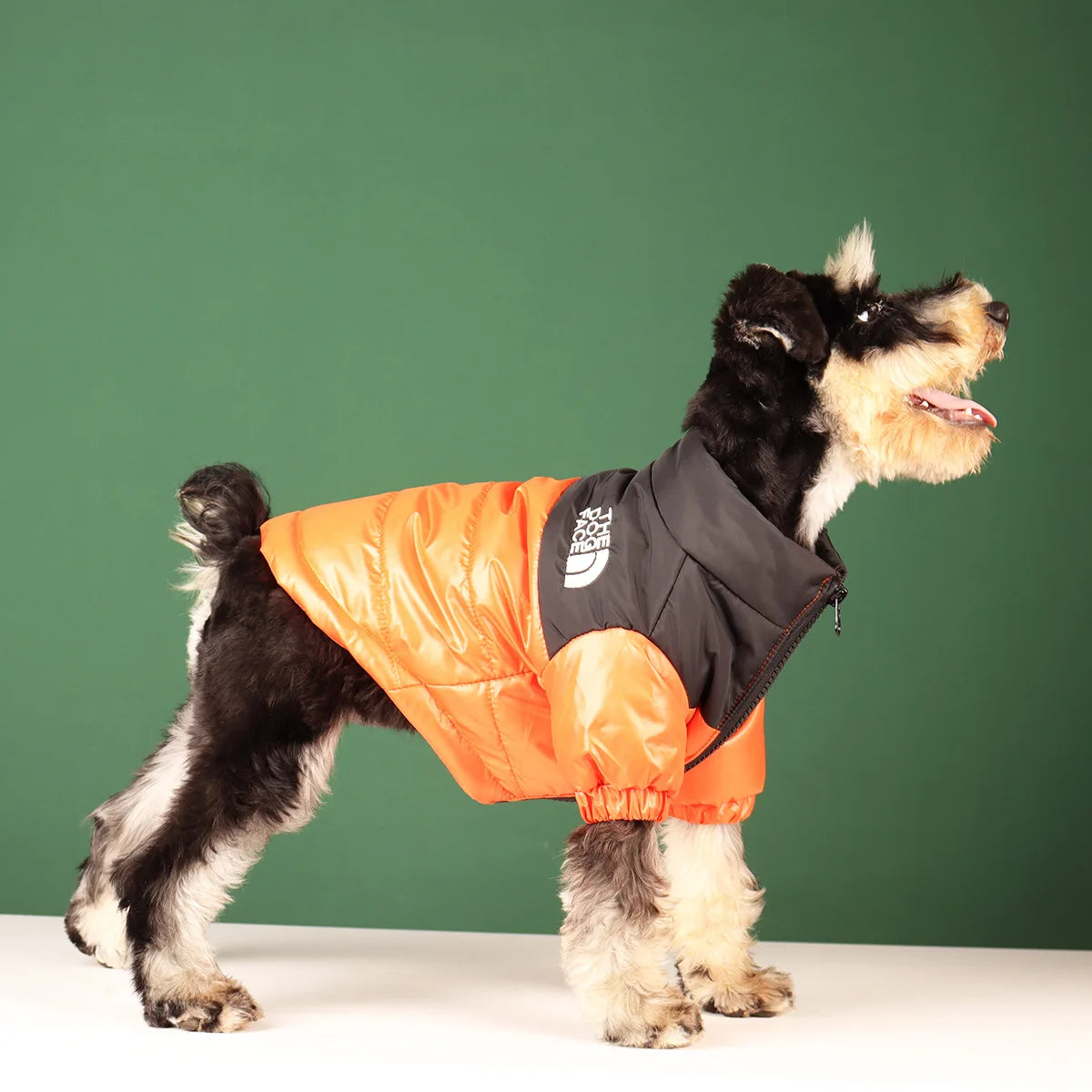 Winter Dog Clothes