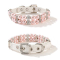 Cat / Dog Collar and Leash Set Pet