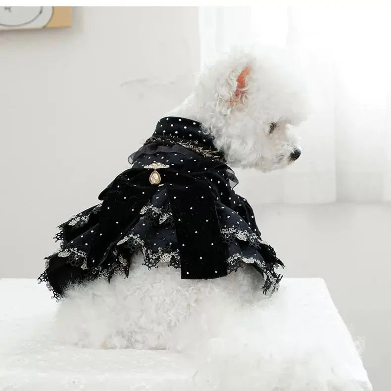 Dog Dress - Velvet Black Gold Fashion Clothing