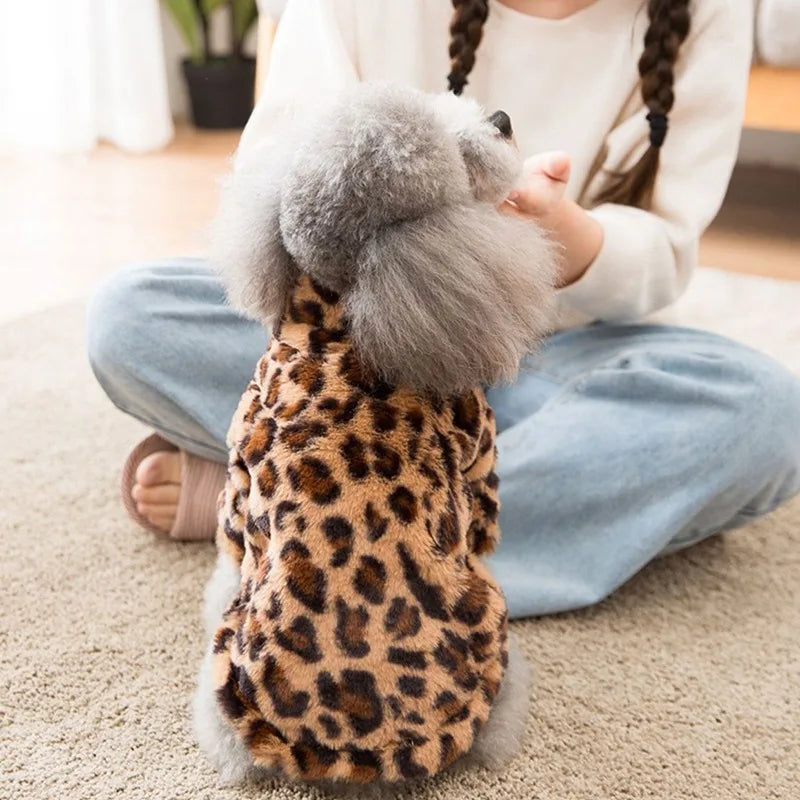 Dogs Coat Leopard
