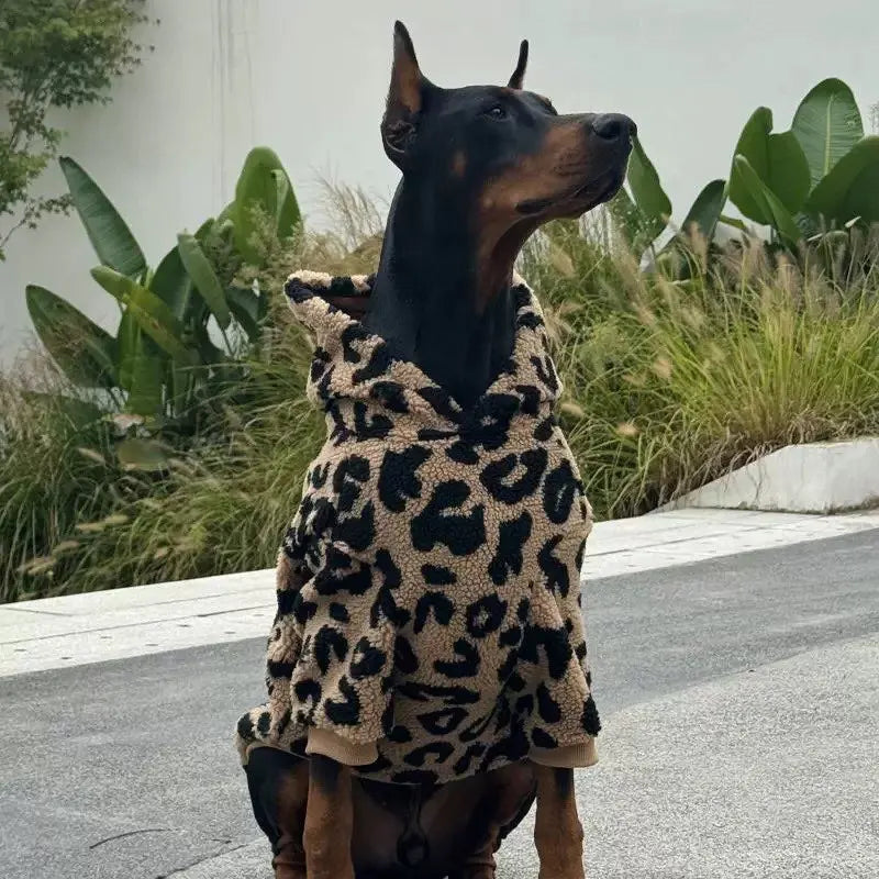 Fashion Dubin Clothes