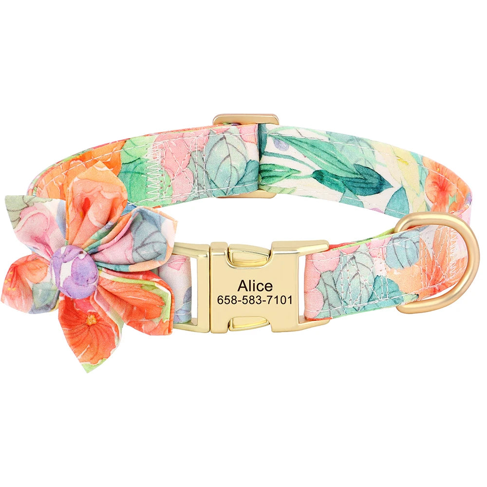 Custom Nylon Dog Collar
