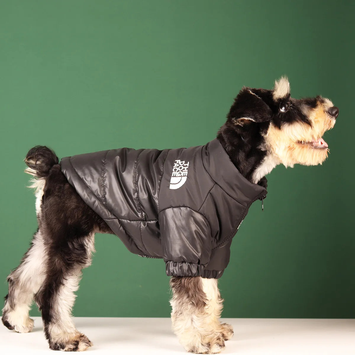Winter Dog Clothes