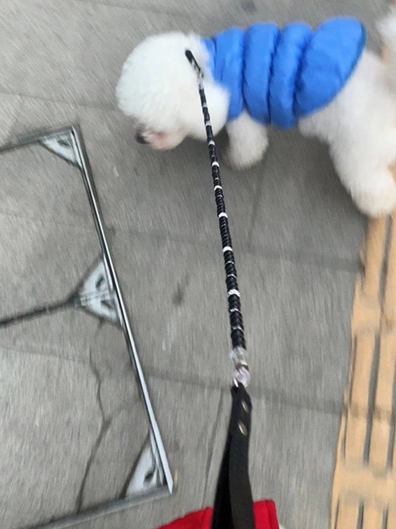 Cat / Dog Collar and Leash Set Pet