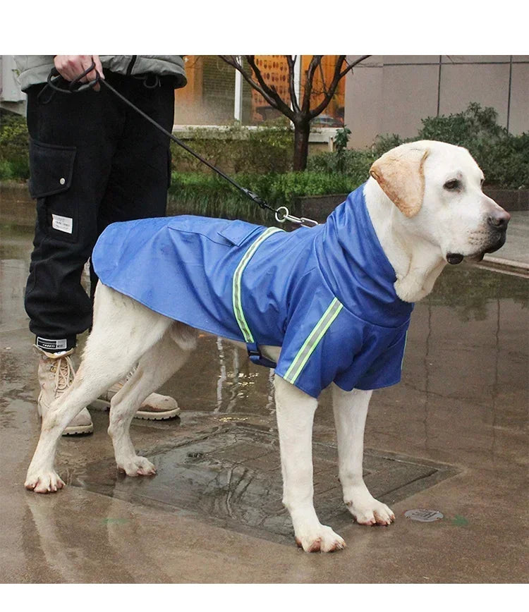 Large Dog Raincoat