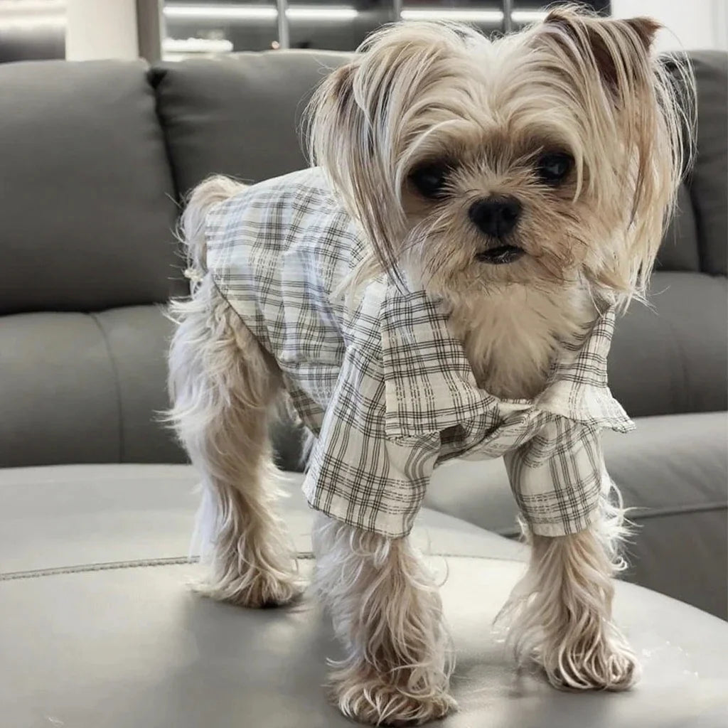 Dog clothes Spring Summer