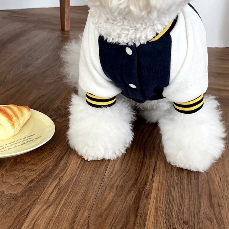 Fashion Winter Pet Baseball