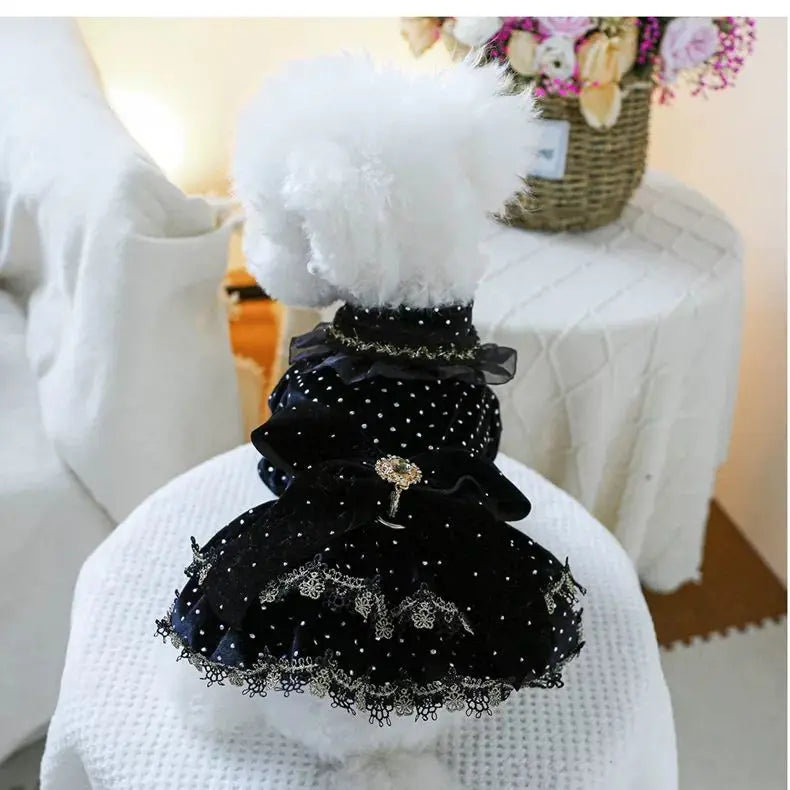 Dog Dress - Velvet Black Gold Fashion Clothing