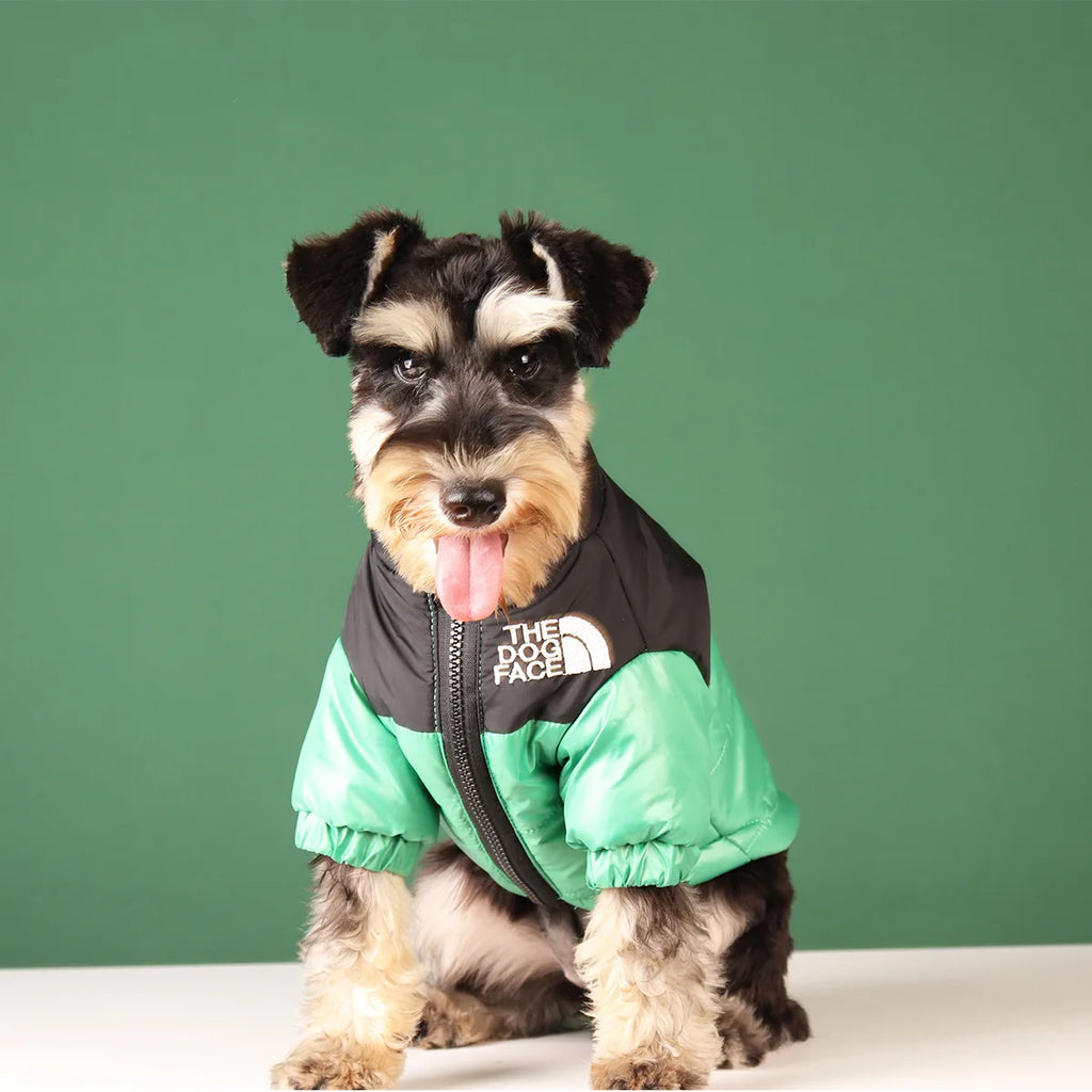 Winter Dog Clothes