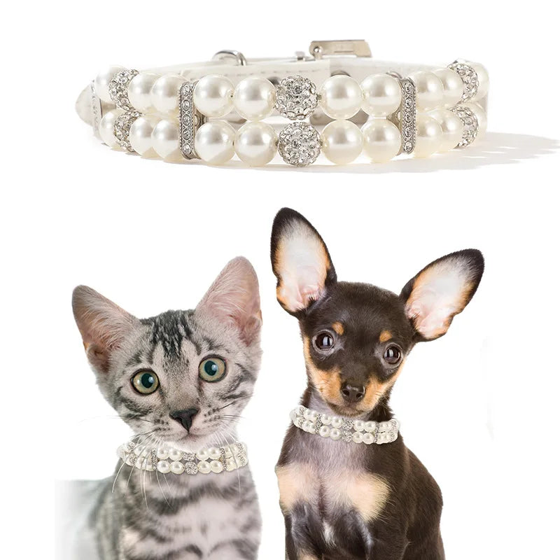 Cat / Dog Collar and Leash Set Pet