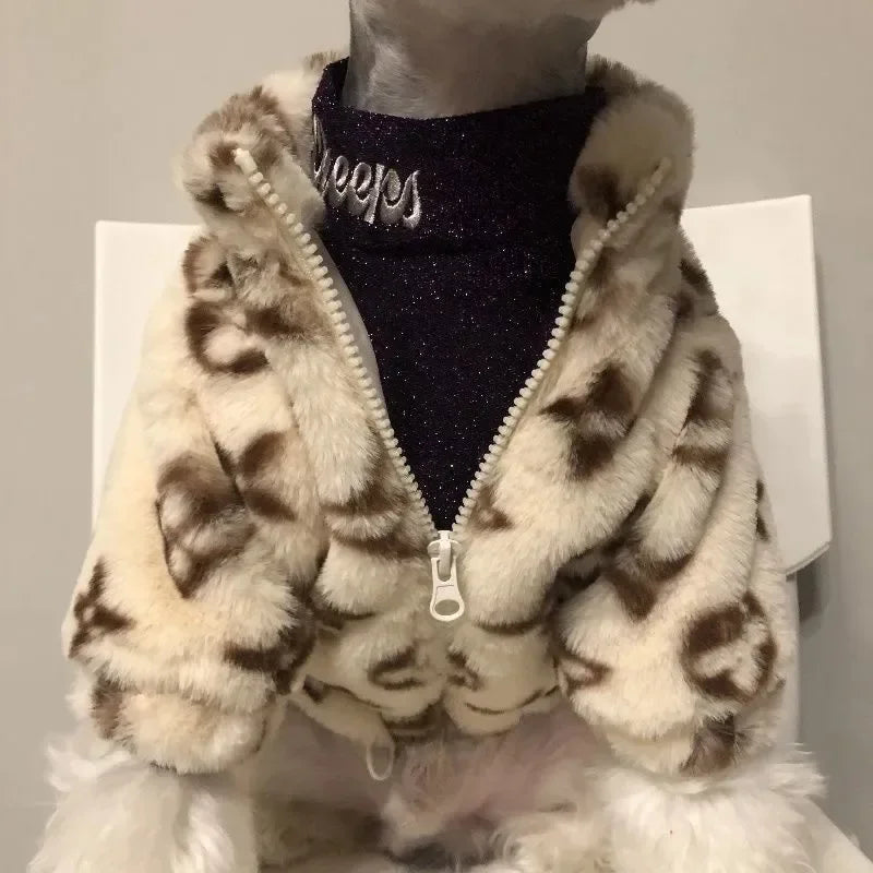 Dogs Coat Leopard