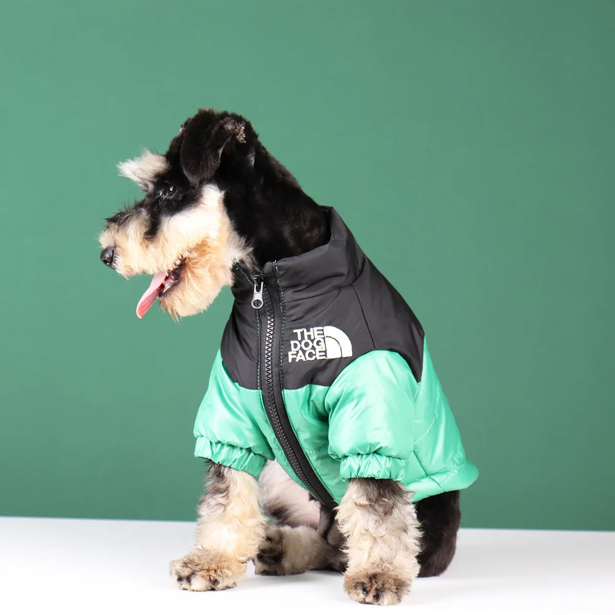 Winter Dog Clothes