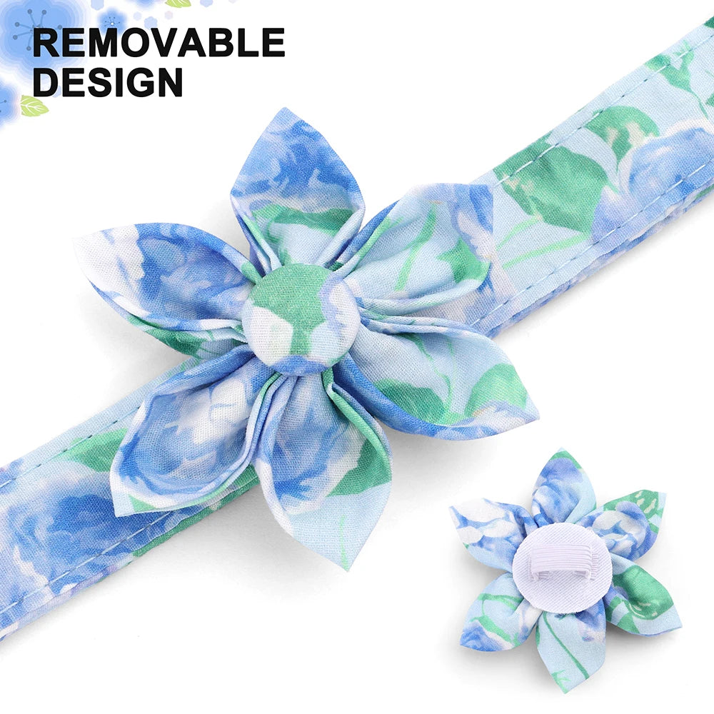 Custom Nylon Dog Collar