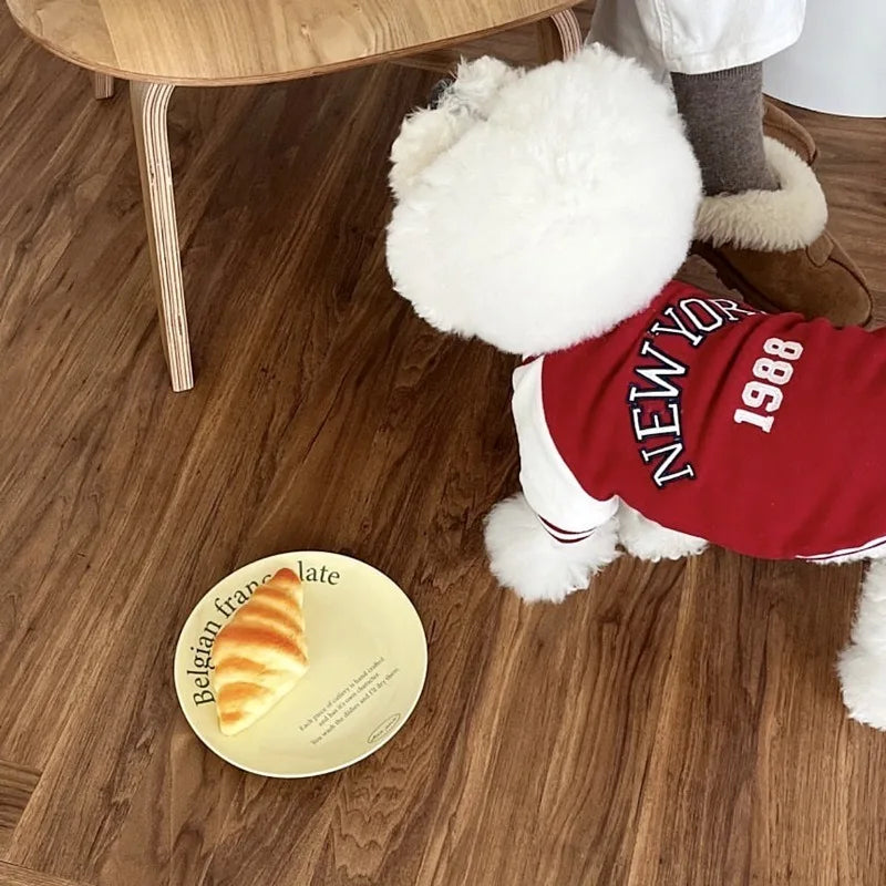 Fashion Winter Pet Baseball