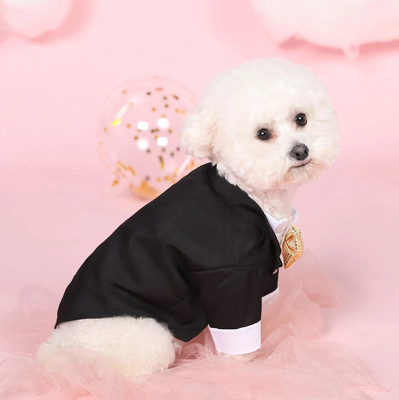 Formal Shirt for Small Dogs
