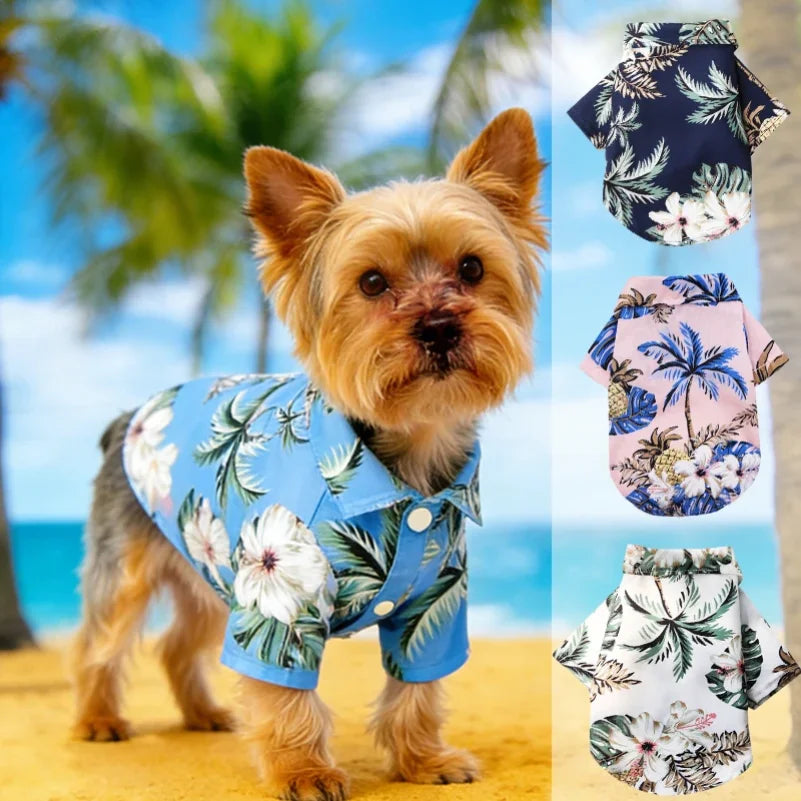 Dog Clothe Summer SandBeach
